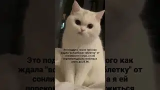 Хотите "волшебную таблетку"?#здоровье #сонливость #усталость #детокс #семейныйнутрициолог #энергия