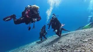 Дейли-дайвинг в Дахабе с Альтернативой 19-26.10.2023 | Diving in Dahab