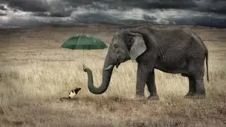 Le mythe de l’éléphant et de la souris