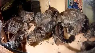 Snacktime ...