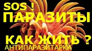 Наши болезни от паразитов! Гоните их из своего тела!