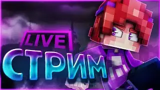 Вечерний стрим  на VimeWorld