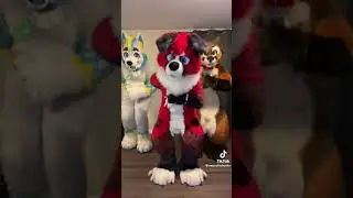 Fursuit Dance ! 