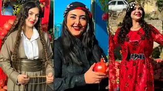 هلپرکی جشن انار پاوه آبان ۱۴۰۳ | رقص شاد کوردی در جشنواره انار پاوه