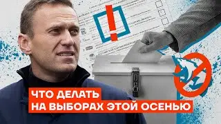 What to do in this fall elections