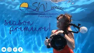 One Sweet Premiere from One Sweet World Images