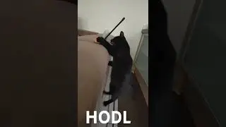 Keep going Nox..