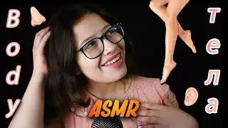 ACMP 💪🏻 т е л о 🦵🏻 VIVI ASMR