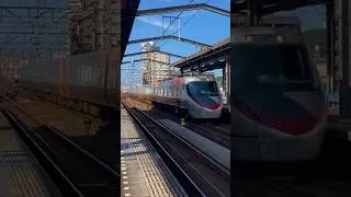 やっぱり唯一無二のこの顔！！！最後のL編成ハロゲン車！四ﾏﾂ8000系L1編成 17M松山行き 宇多津駅到着！#予讃線 #しおかぜ #8000系