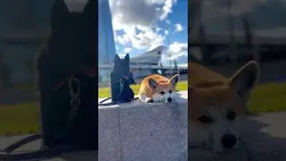 вот и лето закончилось..💔🥹 #shorts #увидимсяследующимлетом