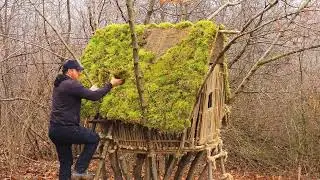 I Built a Secret Forest Hut From Sticks and Moss