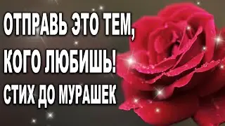 ОЧЕНЬ МУДРО СКАЗАНО! 