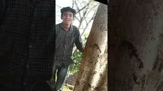 Trending Instagram Reel #shorts