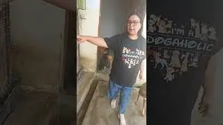 Support Casper Home | Dog Shelter Home | Pets Rescue Videos | Animal Welfare | Dog Adoption Center