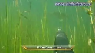 Байкал - заказ индивидуальных туров