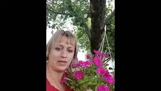 3 августа 2022 г.