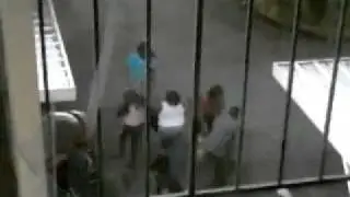 Chick Fight !!