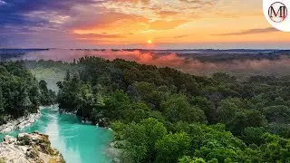 Birds sounds in rainforest
