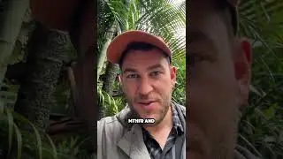 Best way to BEAT inflammation?