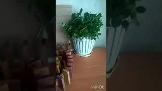 Спираль из домино