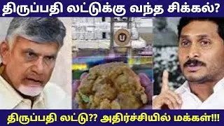 thirupathi laddu issue tamil | திருப்பதி லட்டு Issue | thirupathi laddu controversy | animal fat iss