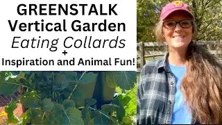GreenStalk Vertical Gardens! How I Eat Collards Plus Inspiration and Animal Fun!
