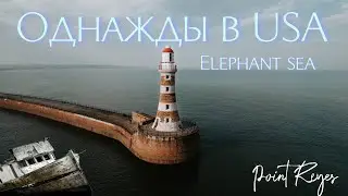 Морские слоны, маяк, музей.