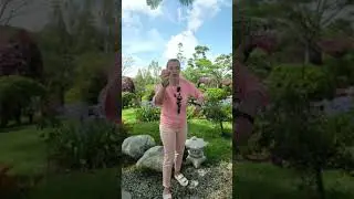 Чистка от насилия себя #чистки #энергетическоеочищение #энергетическиепрактики #асмрвидео #асмр