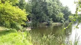 На ставку - замальовка.