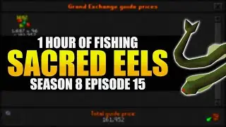 Fishing Sacred Eels | Testing OSRS Wiki Money Making Methods | Money Making Guide 2023