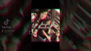 #Hombingbersaudara