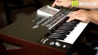 Korg Pa3x LE Style Part 1