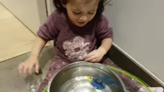 Robo Fish and Robo Turtle Swimming, Baby playing with Robo Fish in Water