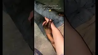 نانی حەلال تامی خوی هەێە