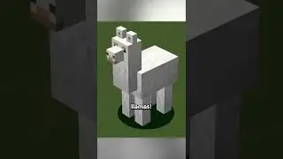 wolves scared of llamas