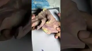 Color Mixing | Random | Satisfying Live