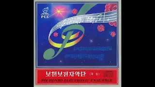Ponchonbo Electronic Ensamble - 'Green Willow'