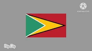 Flag band:South America 