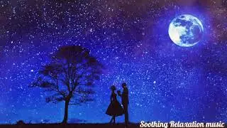 Moonlight Sonata played by Philip Springer