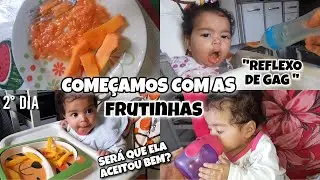 COMECEI A INTRODUÇÃO ALIMENTAR COM A MIRIÃ/ reflexo de gag ou engasgo? |  Thaiane Massarim