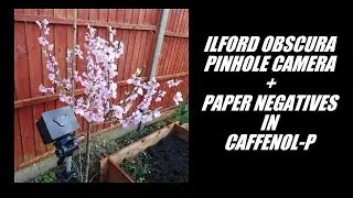 Pinhole Camera Vlog 2 - Ilford Obscura Pinhole Camera & Paper Negatives with Caffenol