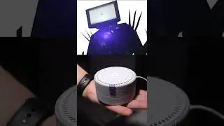 АЛИСА УГАДЫВАЕТ ТВ ВУМЕН из СКИБИДИ ТУАЛЕТ!😱 Skibidi toilet #skibiditoilet