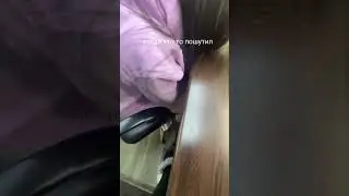 повы.