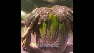 Groot Cuteness Status | 