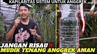 Mau Mudik Tapi Takut Anggrek Mati Karena Nggak Ada Yang Nyiram⁉️ Tenang Bunda Ini Solusinya😊😊😇