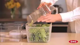 OXO GreenSaver