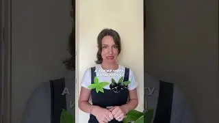 ТОП 7 продуктов от бессонницы! 