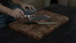 Miyabi Birchwood vs Zwilling Professional S — Santoku Knife