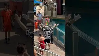soulmate? 😂 Tom mime SeaWorld #seaworldmime #funny #seaworld #comedy #funnyvideo #funnycomedy