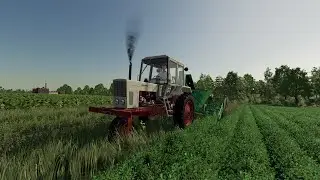Farming Simulator 22. Zielonka (Зелёнка). Czterech Traktorzystów i pies. Стрим №35.